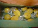 dsc04765.JPG