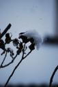 dsc_0578.JPG